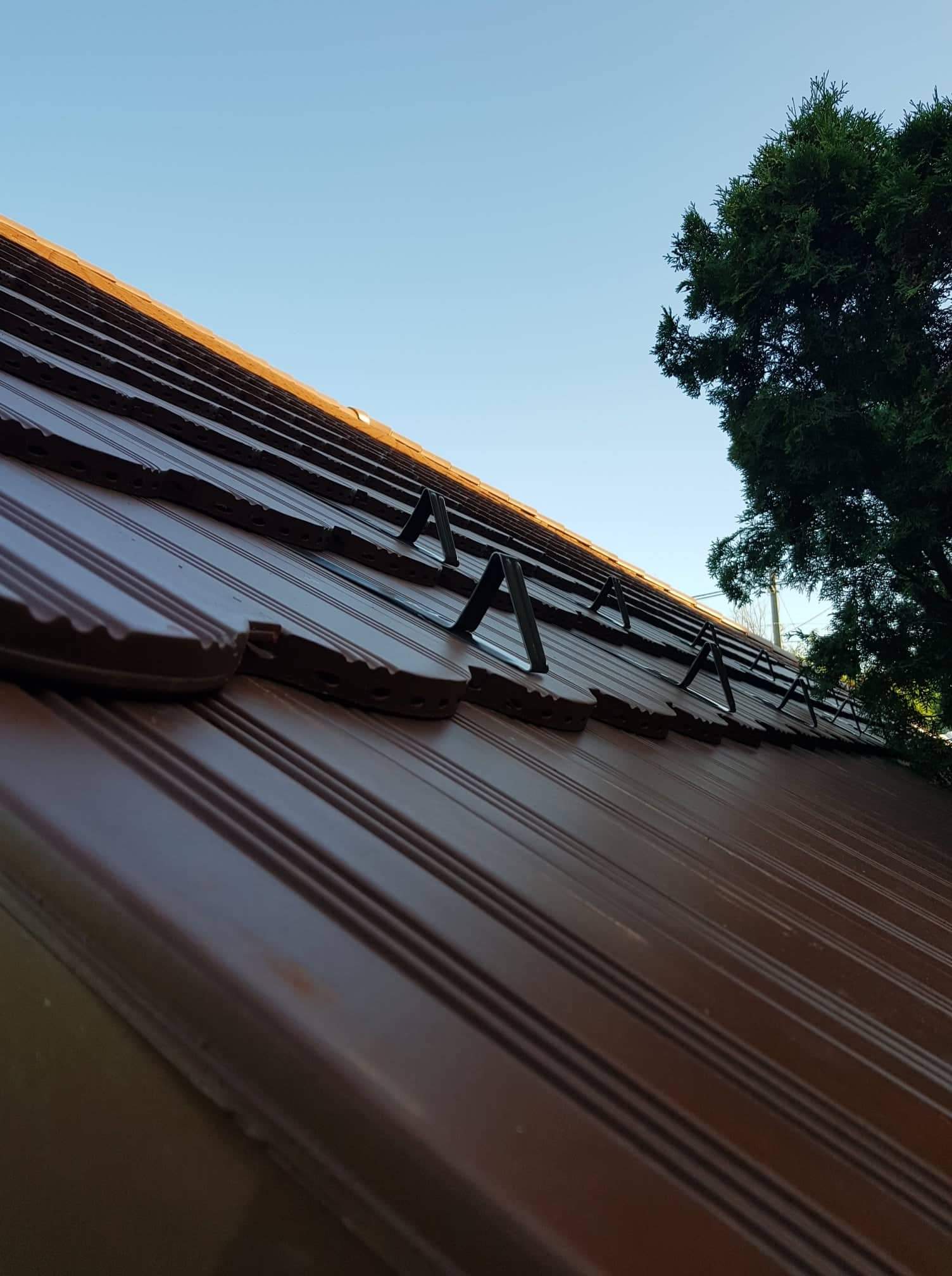 Img 2384026308485058